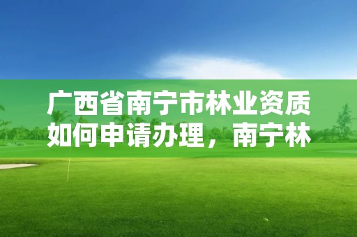 广西省南宁市林业资质如何申请办理，南宁林业厅电话