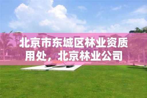 北京市东城区林业资质用处,北京林业公司