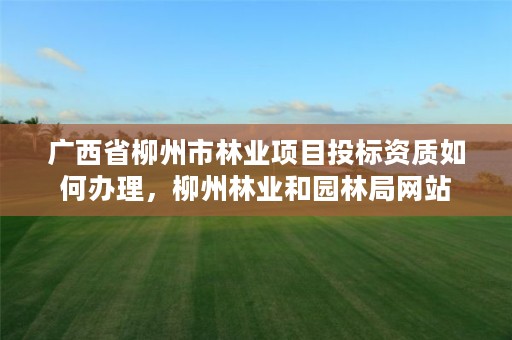 广西省柳州市林业项目投标资质如何办理，柳州林业和园林局网站