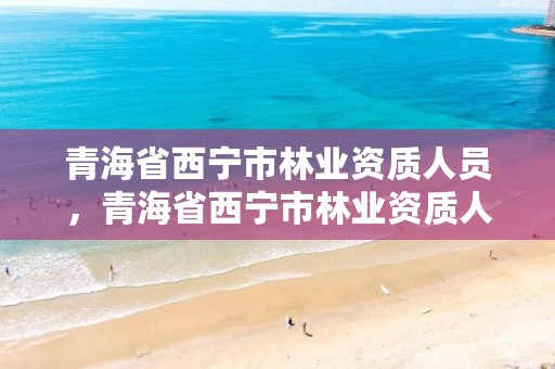 青海省西宁市林业资质人员，青海省西宁市林业资质人员公示
