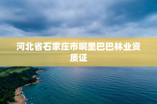 河北省石家庄市啊里巴巴林业资质证