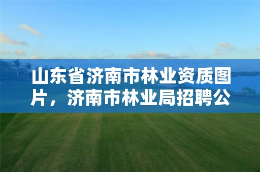 山东省济南市林业资质图片,济南市林业局招聘公告