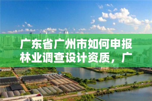 广东省广州市如何申报林业调查设计资质，广东省林业调查规划院怎么样