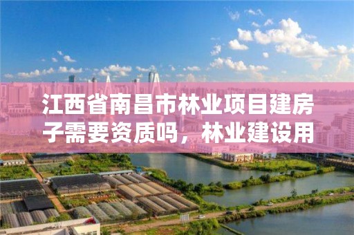 江西省南昌市林业项目建房子需要资质吗,林业建设用地需国土审批吗