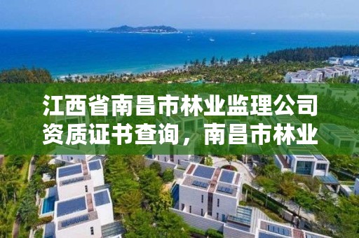 江西省南昌市林业监理公司资质证书查询，南昌市林业投资发展有限公司