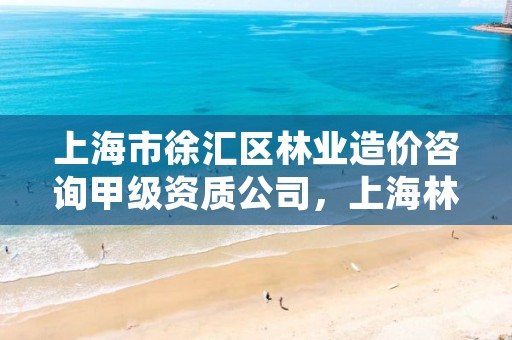 上海市徐汇区林业造价咨询甲级资质公司，上海林业有限公司