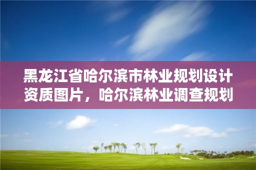 黑龙江省哈尔滨市林业规划设计资质图片,哈尔滨林业调查规划有限公司