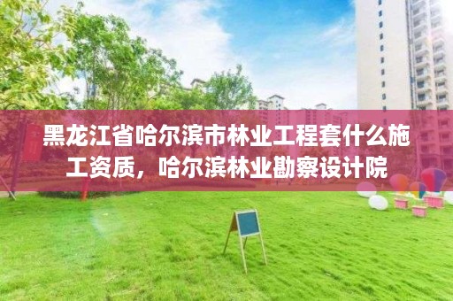 黑龙江省哈尔滨市林业工程套什么施工资质，哈尔滨林业勘察设计院