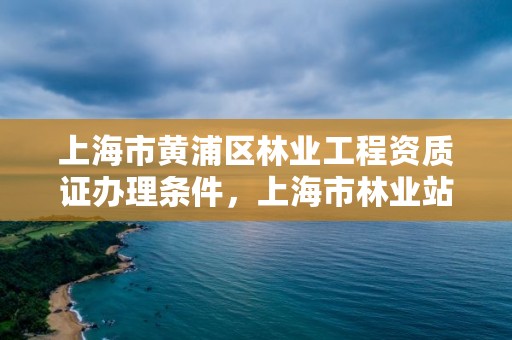 上海市黄浦区林业工程资质证办理条件，上海市林业站