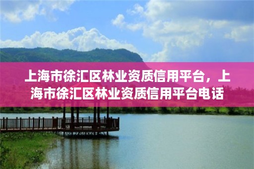 上海市徐汇区林业资质信用平台，上海市徐汇区林业资质信用平台电话