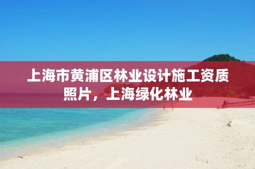 上海市黄浦区林业设计施工资质照片，上海绿化林业