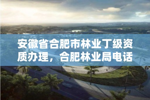 安徽省合肥市林业丁级资质办理，合肥林业局电话号码
