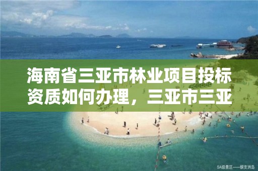 海南省三亚市林业项目投标资质如何办理，三亚市三亚林场