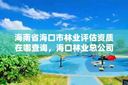 海南省海口市林业评估资质在哪查询,海口林业总公司