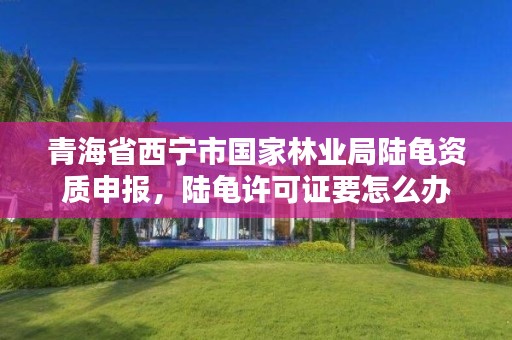 青海省西宁市国家林业局陆龟资质申报，陆龟许可证要怎么办