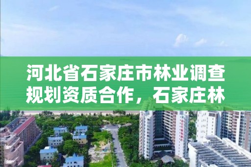 河北省石家庄市林业调查规划资质合作,石家庄林业和草原局
