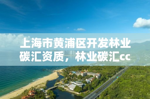 上海市黄浦区开发林业碳汇资质，林业碳汇ccer项目