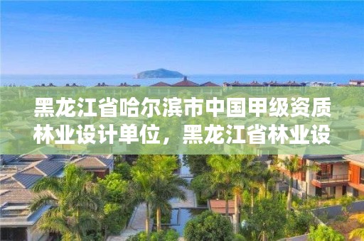 黑龙江省哈尔滨市中国甲级资质林业设计单位,黑龙江省林业设计研究院资质