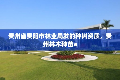 贵州省贵阳市林业局发的种树资质,贵州林木种苗a