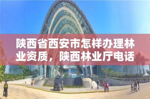 陕西省西安市怎样办理林业资质,陕西林业厅电话号码