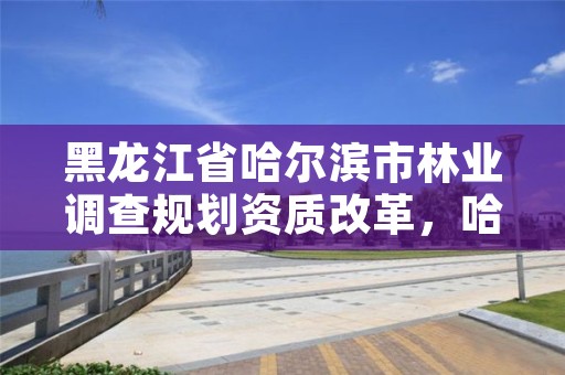 黑龙江省哈尔滨市林业调查规划资质改革,哈尔滨市林业设计院