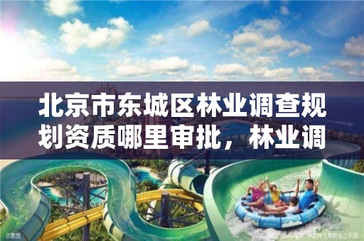 北京市东城区林业调查规划资质哪里审批，林业调查规划设计资质怎么办理