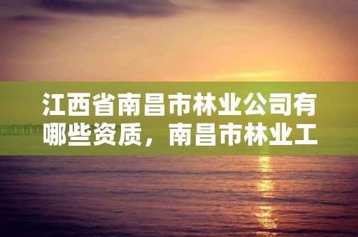 江西省南昌市林业公司有哪些资质，南昌市林业工业公司