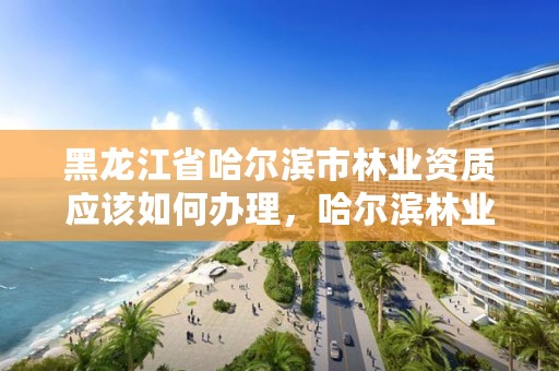 黑龙江省哈尔滨市林业资质应该如何办理,哈尔滨林业厅地址