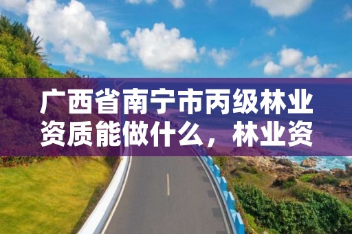 广西省南宁市丙级林业资质能做什么，林业资质证书丙级