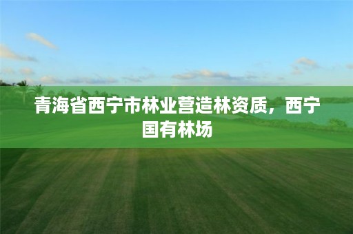青海省西宁市林业营造林资质,西宁国有林场