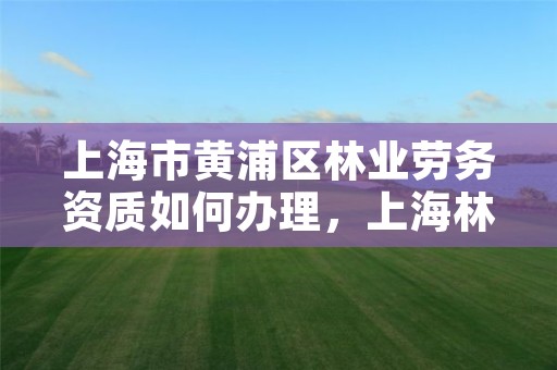 上海市黄浦区林业劳务资质如何办理，上海林业公司