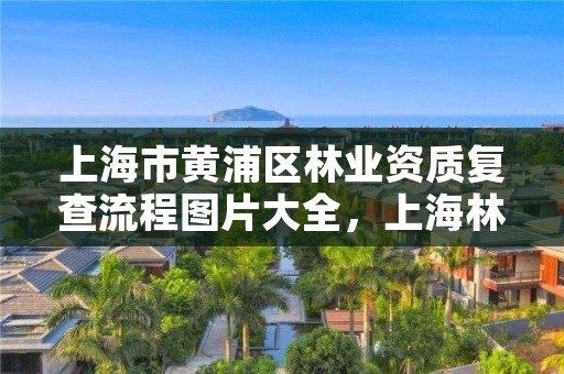 上海市黄浦区林业资质复查流程图片大全，上海林业部门电话