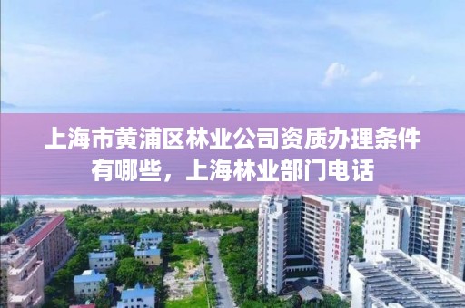 上海市黄浦区林业公司资质办理条件有哪些，上海林业部门电话