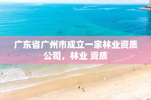 广东省广州市成立一家林业资质公司,林业 资质
