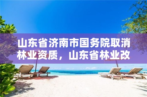 山东省济南市国务院取消林业资质,山东省林业改革规定每亩补贴