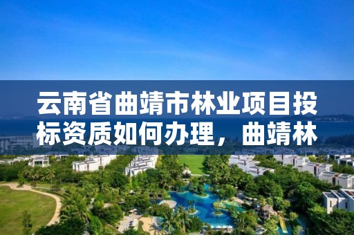 云南省曲靖市林业项目投标资质如何办理，曲靖林业公司