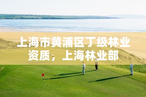 上海市黄浦区丁级林业资质，上海林业部