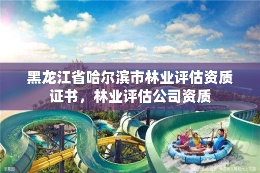 黑龙江省哈尔滨市林业评估资质证书,林业评估公司资质