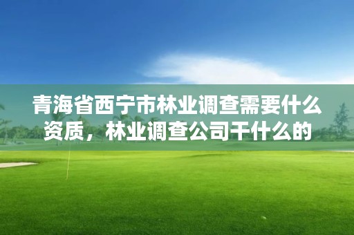 青海省西宁市林业调查需要什么资质,林业调查公司干什么的