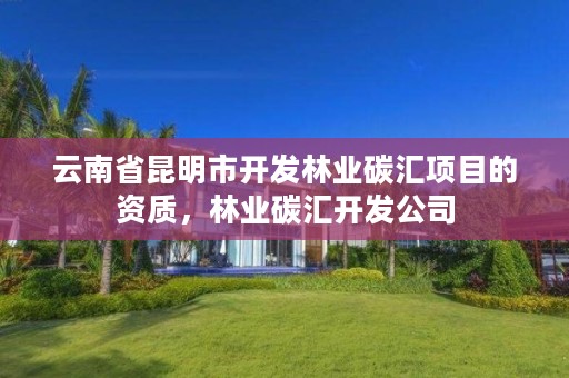 云南省昆明市开发林业碳汇项目的资质,林业碳汇开发公司