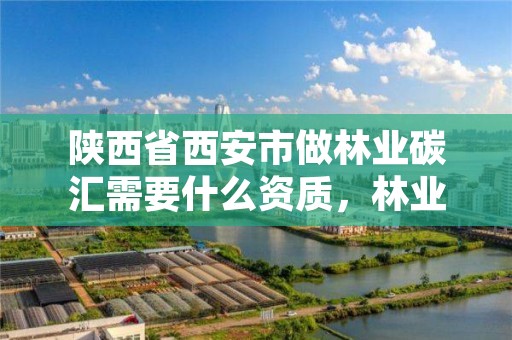 陕西省西安市做林业碳汇需要什么资质,林业碳汇项目审定和核证指南