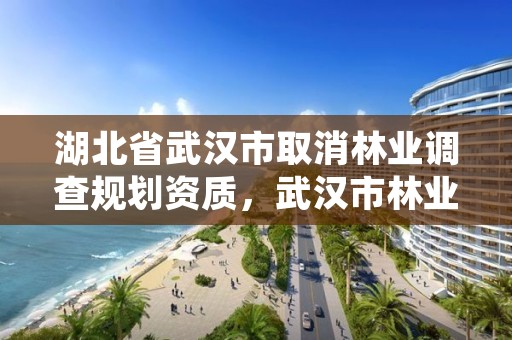 湖北省武汉市取消林业调查规划资质,武汉市林业调查规划设计有限公司
