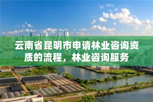云南省昆明市申请林业咨询资质的流程,林业咨询服务