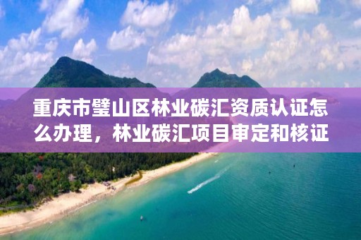 重庆市璧山区林业碳汇资质认证怎么办理,林业碳汇项目审定和核证指南