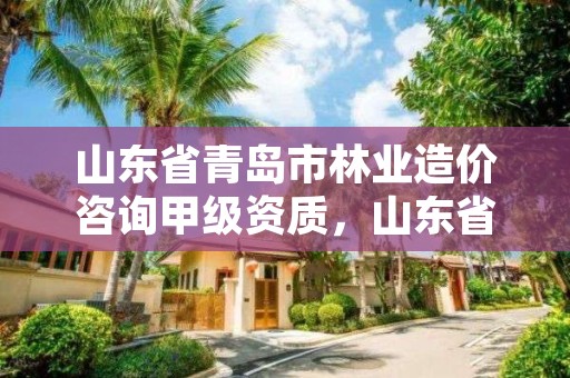 山东省青岛市林业造价咨询甲级资质,山东省青岛市林业造价咨询甲级资质企业名单