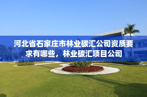 河北省石家庄市林业碳汇公司资质要求有哪些,林业碳汇项目公司