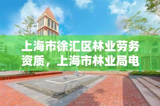 上海市徐汇区林业劳务资质，上海市林业局电话号码
