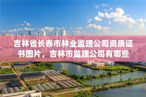 吉林省长春市林业监理公司资质证书图片,吉林市监理公司有哪些