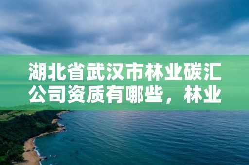 湖北省武汉市林业碳汇公司资质有哪些,林业碳汇咨询公司