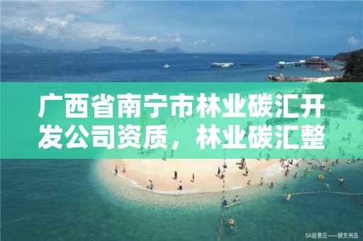 广西省南宁市林业碳汇开发公司资质，林业碳汇整合碳资管上市公司